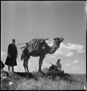 Two Tunisians with camel - Photograph taken by M D Elias
