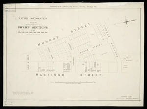 Plan showing sub-divisions of swamp sections nos.4375, 378, 379, 380, 381, 382, 383, 385 Napier / Robert Lamb, Municipal Engineer.
