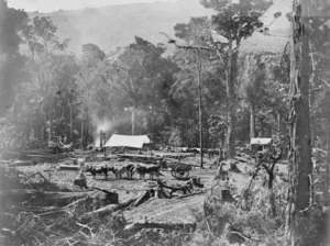 Timber industry workers camp in the forest