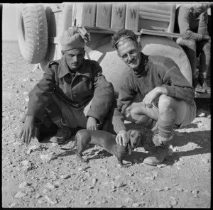 A New Zealand soldier with an Indian soldier and a German dog, Egypt