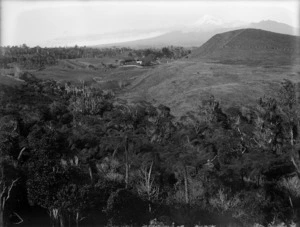 Farmland with bush in the foreground