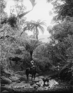 Winnie Northwood on horseback, in the Northland bush