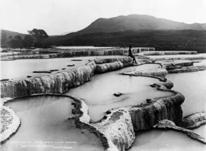 White Terraces, Rotomahana