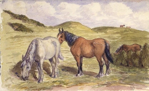 [Hackworth, James B] :[Horses grazing in a field. 19]10