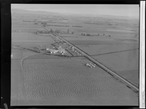 Winton, Southland District, including flax plantation