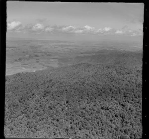 Hauraki Plains from Hunua Hills, Waikato