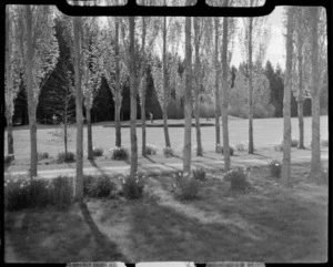 Otepuni Gardens, Invercargill