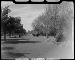 Otepuni Gardens, Invercargill