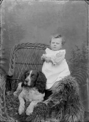Outdoors portrait in front of false backdrop, unidentified young girl in lace pinafore standing on fur rug covered cane chair with Cocker Spaniel dog, probably Christchurch region