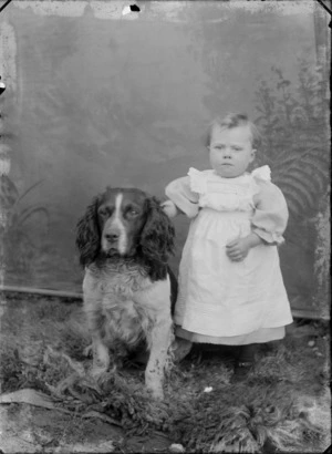 Outdoors portrait in front of false backdrop, unidentified young girl in lace pinafore standing with Cocker Spaniel dog on fur rug, probably Christchurch region