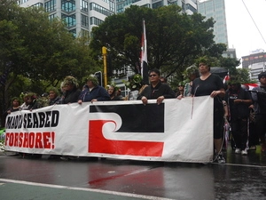 Photographs taken at a 2011 foreshore and seabed protest in Wellington