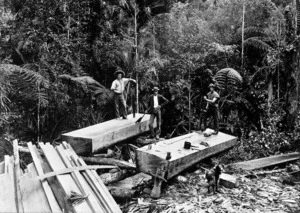 Timber workers, East Coast district