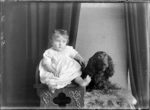 Studio portrait of unidentified baby, with dog, probably Christchurch district