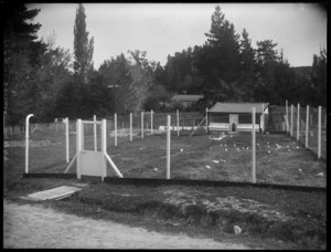 Hen house with poultry in large fenced off area, house beyond in trees, Hawke's Bay District