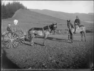 Man on gig, a 2-wheeled sprung cart pulled by a horse, with man on horse and dog, farmland beyond, Hawke's Bay District