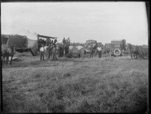 Men out in the field using harvesting machines, thresher and steam tractor, trucks and horse drawn wagons, Hawke's Bay District