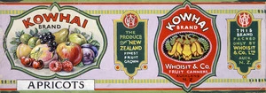 [Moran, Joseph Bruno], 1874?-1952 :Kowhai Brand apricots; the produce of New Zealand finest fruit grown; Whoisit & Co. fruit canners, Auckland. [1920s?].
