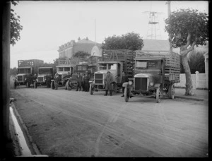 A group of unidentified men standing alongside their livestock trucks in front of the business premises of Graham and Gebbie, Hastings