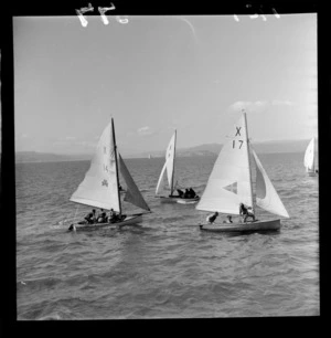 Yachts racing on Wellington Harbour in Sanders Cup trials
