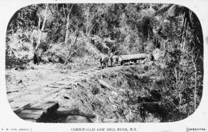 Horses pulling a log upon a logging railway, Cornwallis sawmill bush