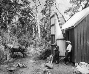 Old Mintaro Hut, Milford Track