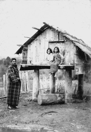 Burton Brothers 1868-1898 :Taitua, at Taumarunui