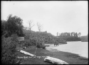 Wairoa River, near Tauranga