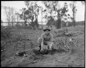 Man at Maori nursery, Tauranga - Photograph taken by E P Christensen