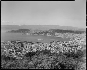 Wellington city and harbour - Photograph taken by W Walker