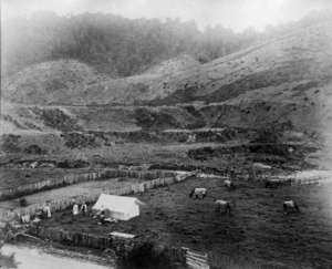 Campsite in Runanga, West Coast Region