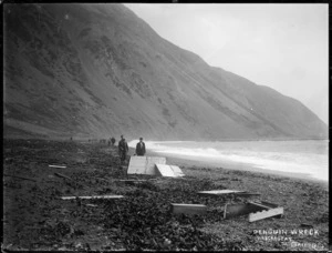 Beach between Cape Terawhiti and Sinclair Head, Wellington, and debris washed up after the wreck of the Penguin