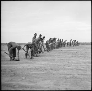 Line of New Zealanders making a football ground near Bardia, Libya - Photograph taken by H Paton