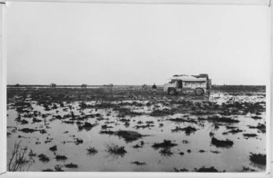 NZ Division transport bogged down in flooded desert conditions at Fuka, Egypt, World War II - Photograph taken by Captain J White