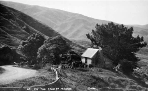 Katy Shotter's cottage on the road to Makara