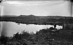 Scene near Whangamarino bridge