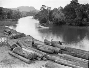 Logs ready for milling at the side of a river, probably in the Northland area