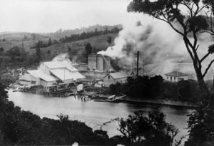 Overlooking Wilson's Cement works at Mahurangi