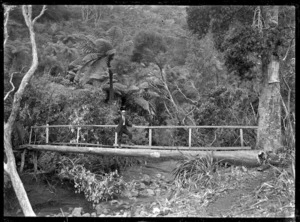 Bridge over a stream at Anawhata