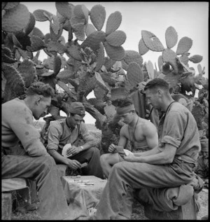 Gunners relax playing cards in the shade of cactus trees in Tunisia, World War II - Photograph taken by M D Elias