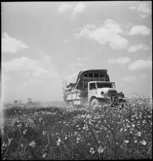 Convoy passing through fields of daisies in Tunisia - Photograph taken by M D Elias