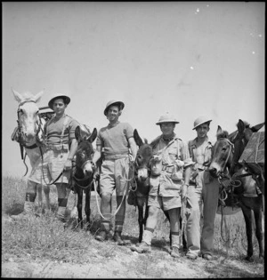 Soldiers of the 1st New Zealand Mule Pack Company, Tunisia - Photograph taken by M D Elias