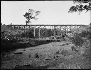 Kopua railway viaduct, Hawke's Bay