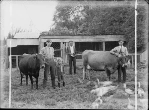 Outdoor portrait of members of an unidentified family standing in front of the chicken coop on an unidentified farm, showing a man with three boys standing with two cows, a flock of chickens feeding in front of them, possibly Christchurch district