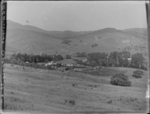 William's house and sheep station, Hawke's Bay