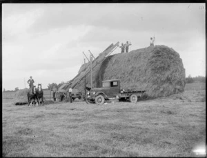 Men making a large haystack after harvesting hay, with truck and horses, Hastings district