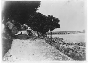 Creator unknown :Photograph of the Karaka Walk, Mount Maunganui