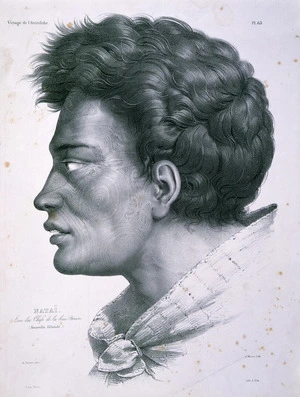 Sainson, Louis Auguste de, b. 1801 :Natai. L'un des chefs de la Baie Bream (Nouvelle Zelande). A Maurin lith; de Sainson pinx. [Paris, 1833]
