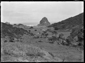 Landscape at Piha, including Lion Rock in the middle distance.