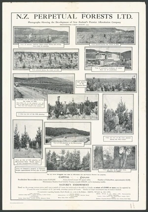 New Zealand Perpetual Forests Ltd: Photographs showing the development of New Zealand's premier afforestation company. Photographs taken August 1929. Wilson & Horton Limited, Auckland [1929]