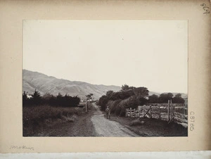 General view of Horokiwi, Wellington, New Zealand
